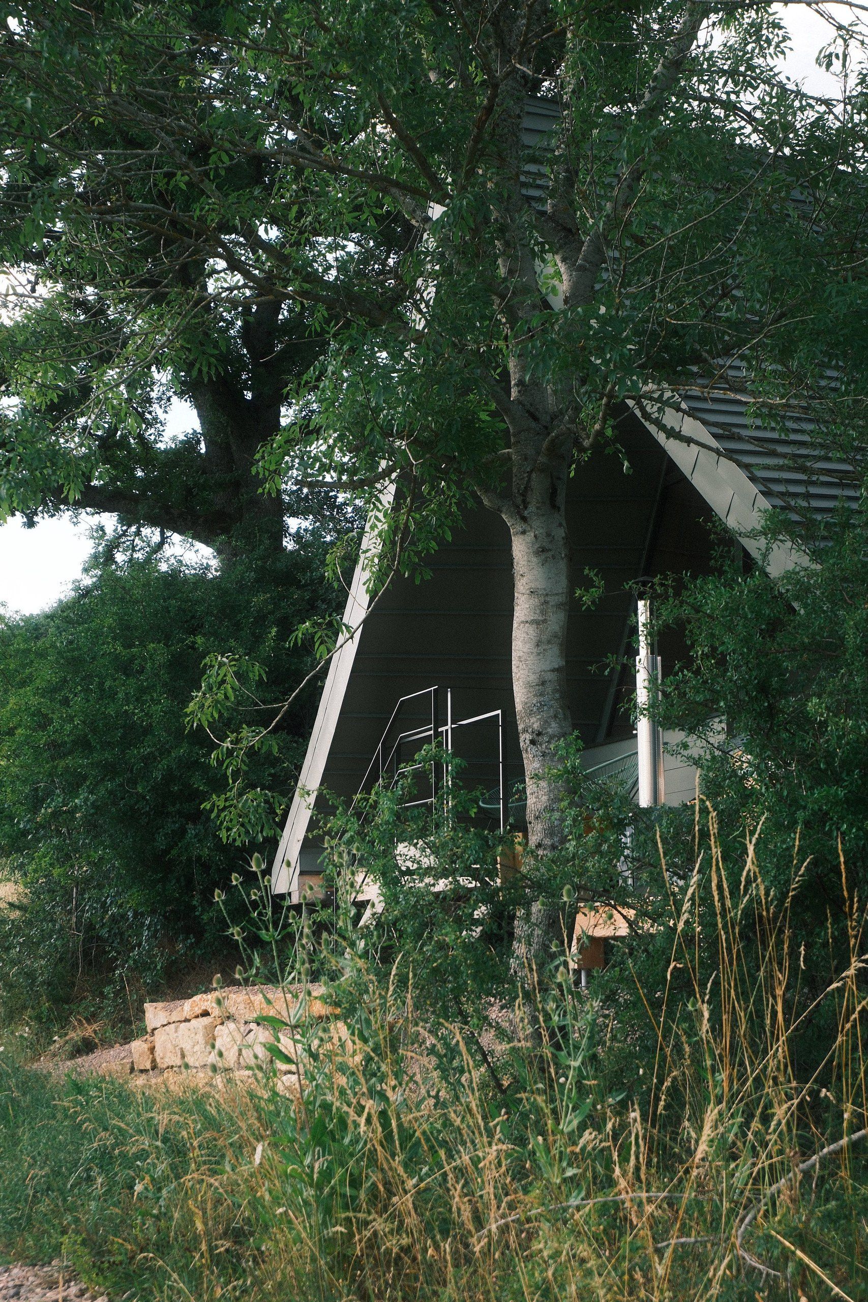 Lodge en bois sur pieux au milieu des arbres