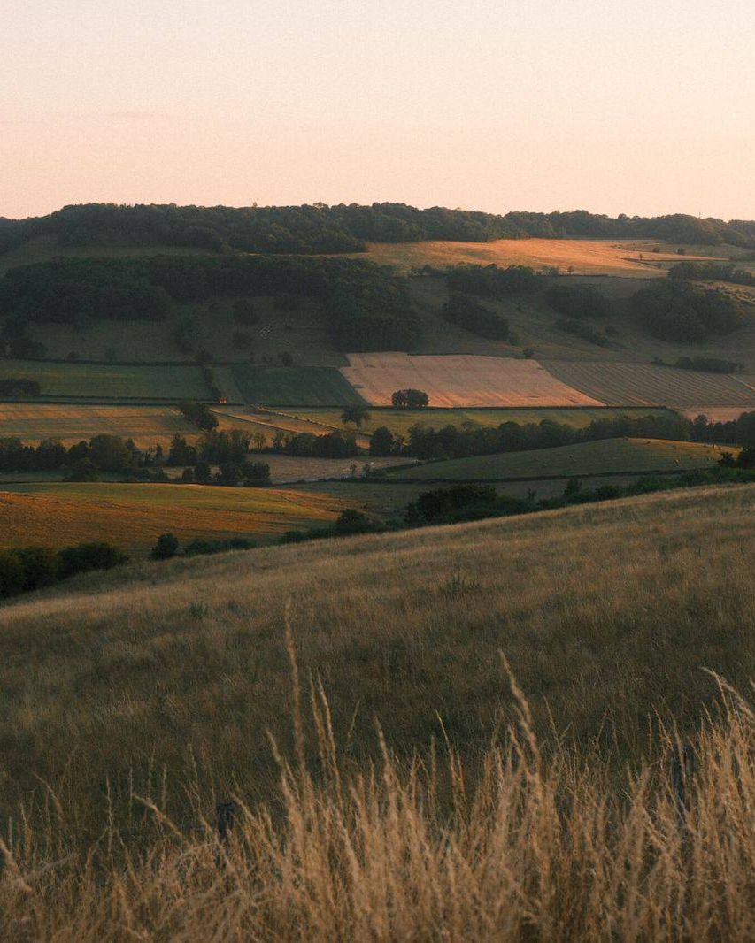 Coucher de soleil sur les collines et les prairies de l'Auxois