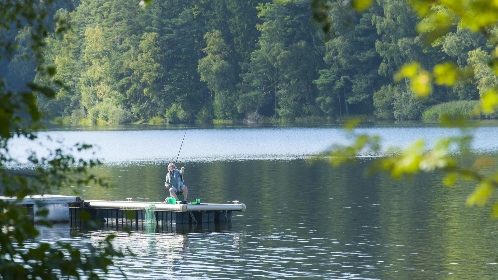 Lac paisible bordé d'arbres, avec un ponton en bois et un pêcheur