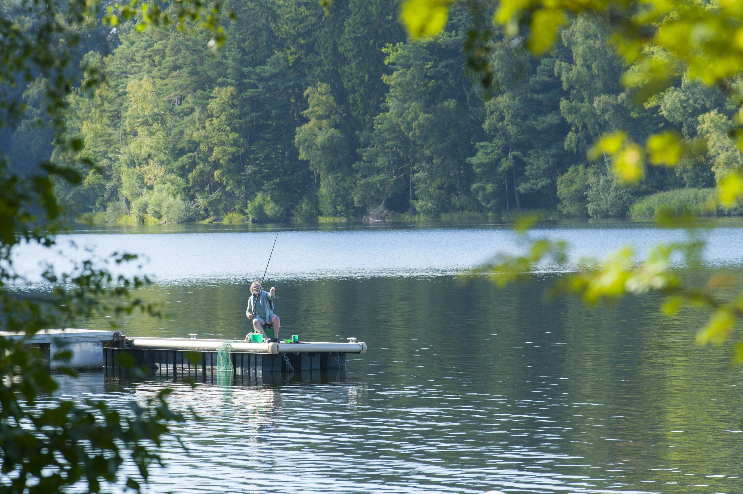 Lac paisible bordé d'arbres, avec un ponton en bois et un pêcheur