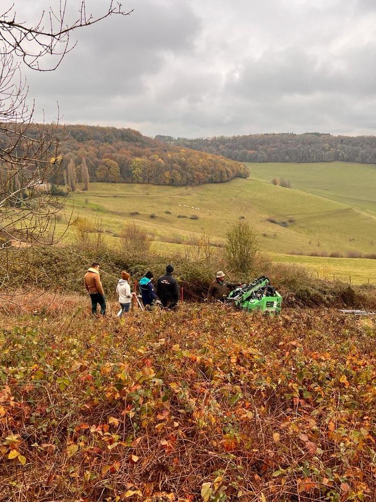 Le terrain du domaine en friche avant les travaux, un petit groupe au milieu des herbes